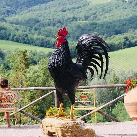 Agriturismo Borgo Il Bonagino Radda in Chianti Dış mekan fotoğraf
