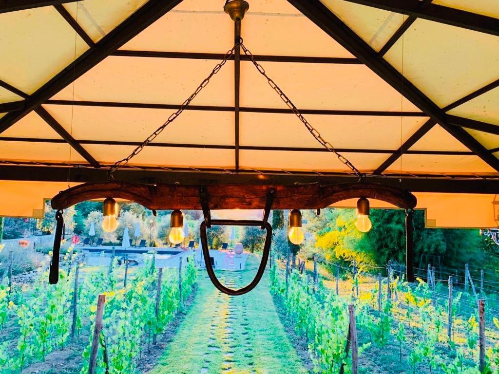 Agriturismo Borgo Il Bonagino Radda in Chianti Dış mekan fotoğraf