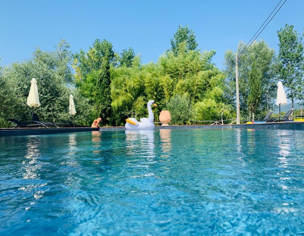Agriturismo Borgo Il Bonagino Radda in Chianti Dış mekan fotoğraf