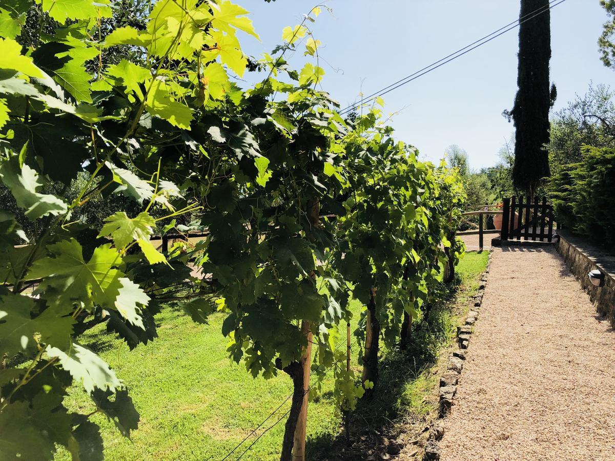 Agriturismo Borgo Il Bonagino Radda in Chianti Dış mekan fotoğraf