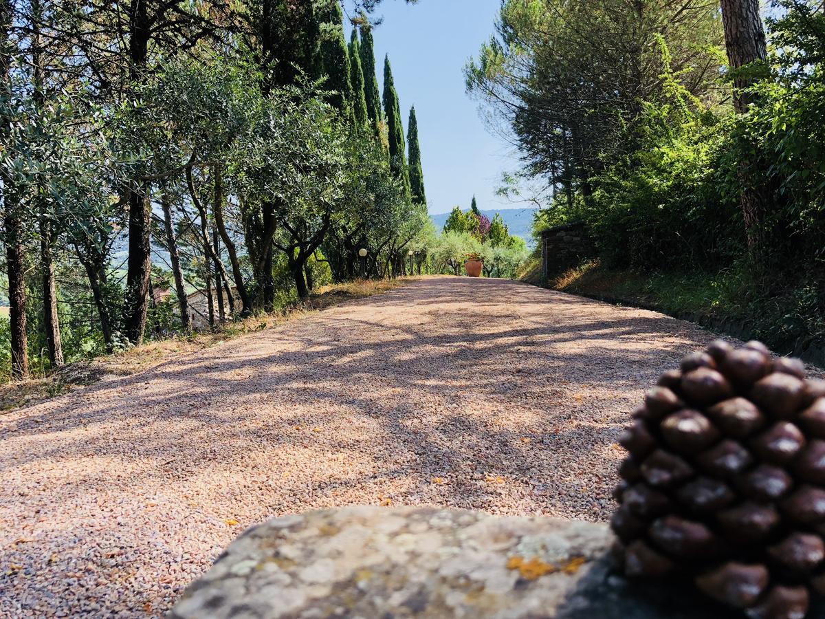 Agriturismo Borgo Il Bonagino Radda in Chianti Dış mekan fotoğraf